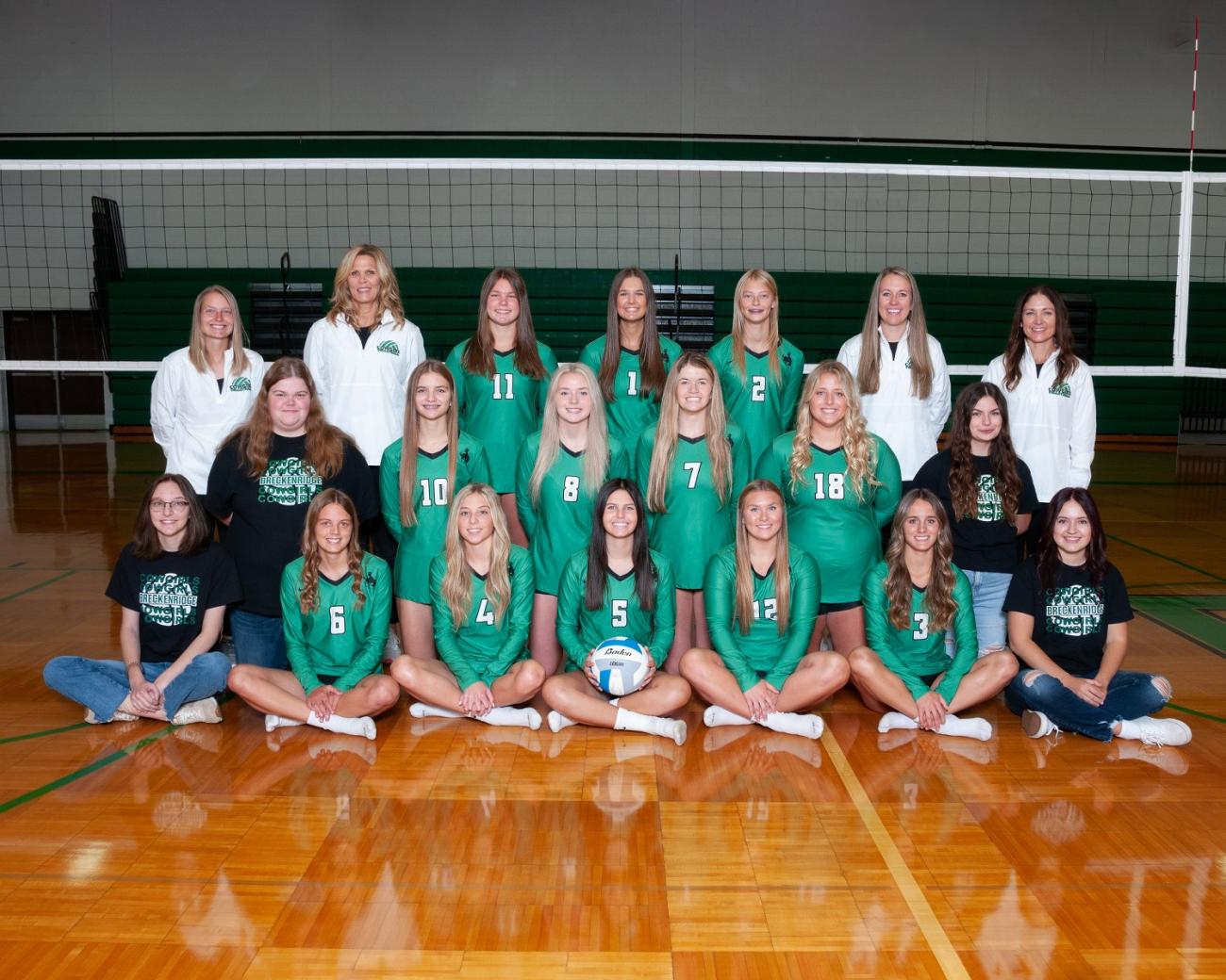 Breckenridge High School Volleyball, Girls | Teams | MSHSL